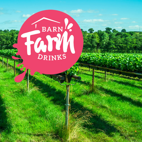 Barn Farm Drinks brand identity