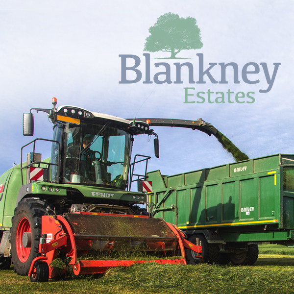 Blankney Estates brand identityg