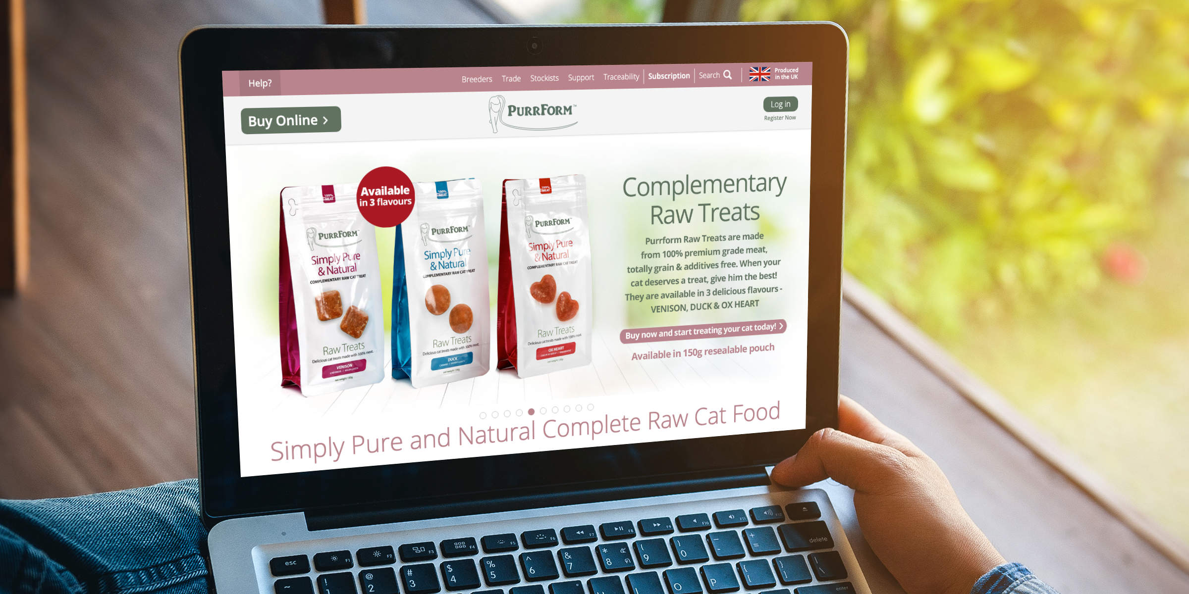 purrform raw cat food website design