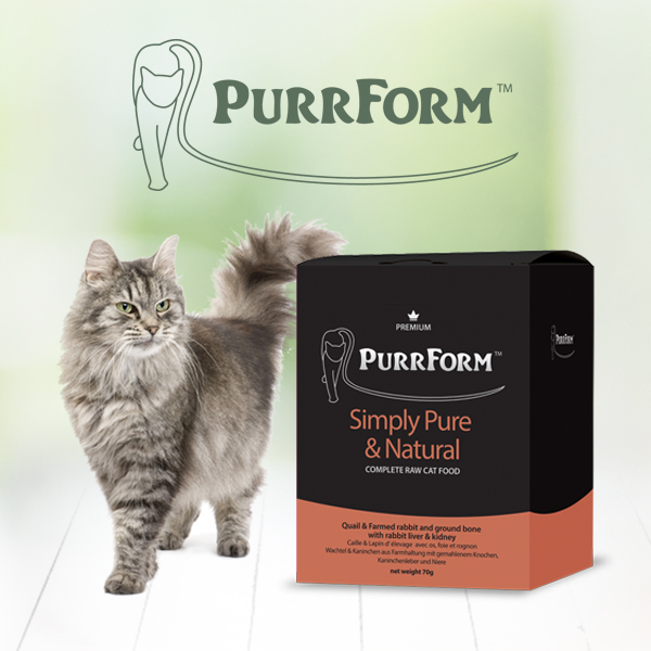 Purrform raw cat food brand identity