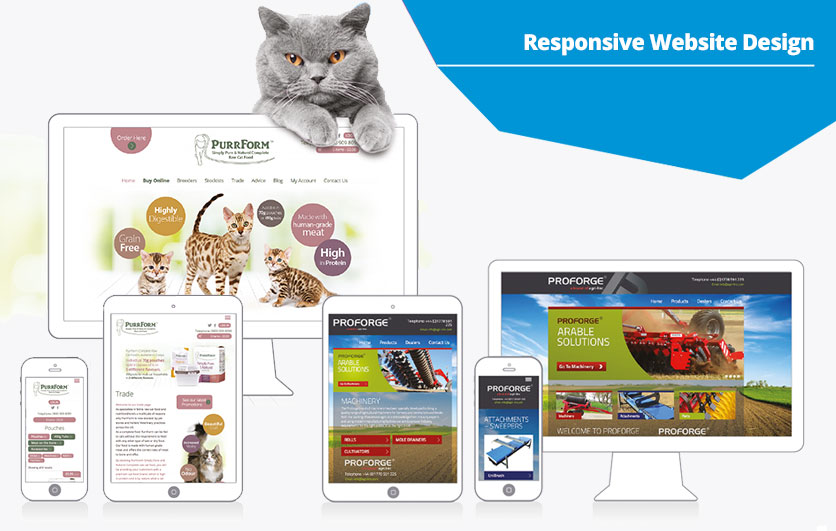 Purrfectly responsive<br>